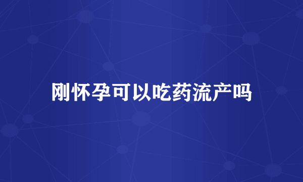 刚怀孕可以吃药流产吗