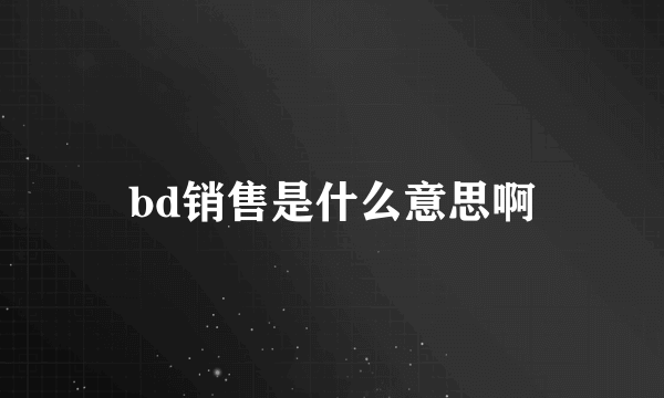 bd销售是什么意思啊