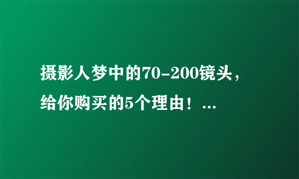 摄影人梦中的70-200镜头，给你购买的5个理由！让你学会如何选择