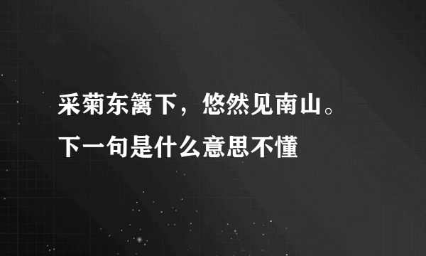 采菊东篱下，悠然见南山。 下一句是什么意思不懂