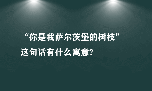 “你是我萨尔茨堡的树枝” 这句话有什么寓意?