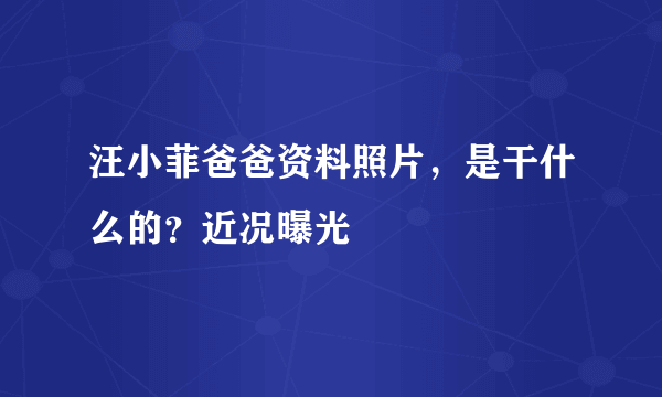 汪小菲爸爸资料照片，是干什么的？近况曝光