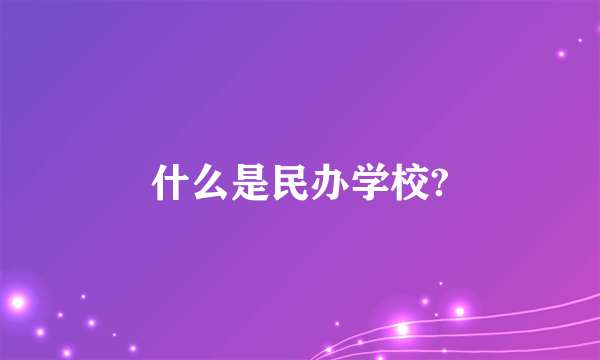 什么是民办学校?