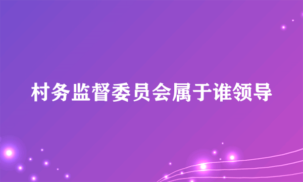 村务监督委员会属于谁领导