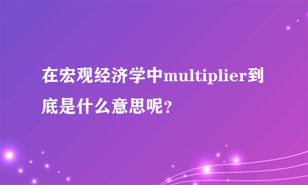 在宏观经济学中multiplier到底是什么意思呢？