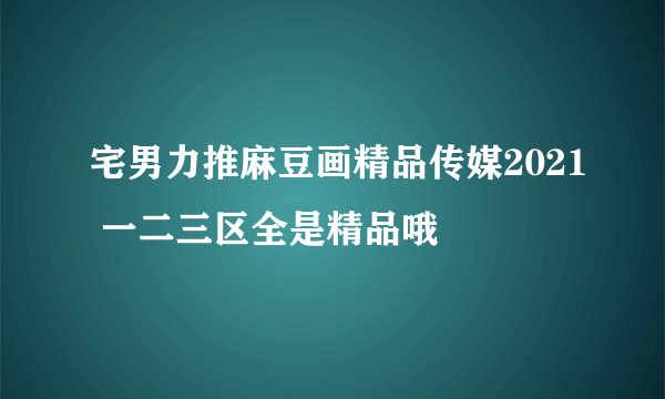 宅男力推麻豆画精品传媒2021 一二三区全是精品哦