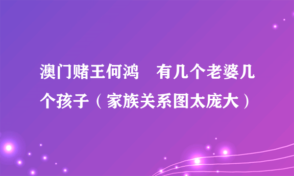 澳门赌王何鸿燊有几个老婆几个孩子（家族关系图太庞大）