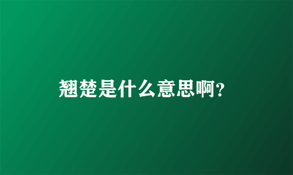 翘楚是什么意思啊？