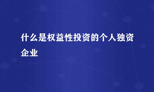 什么是权益性投资的个人独资企业