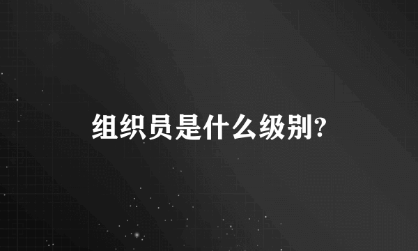 组织员是什么级别?