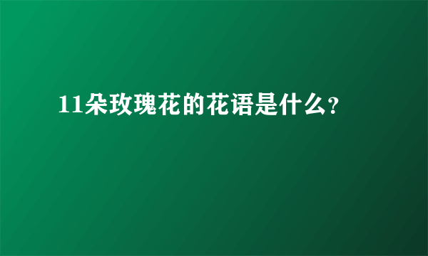 11朵玫瑰花的花语是什么？