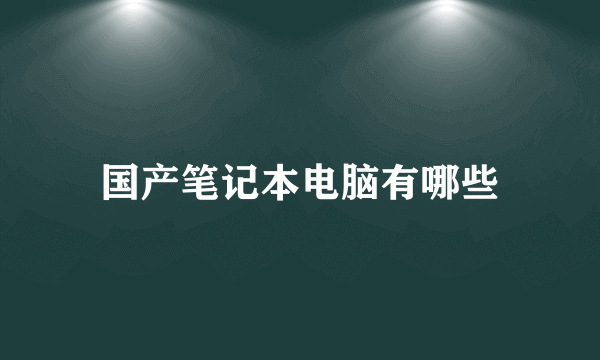 国产笔记本电脑有哪些