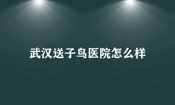 武汉送子鸟医院怎么样