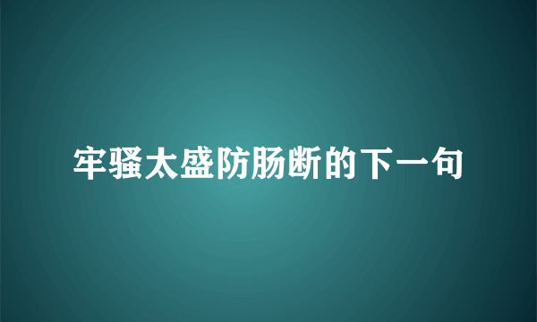 牢骚太盛防肠断的下一句