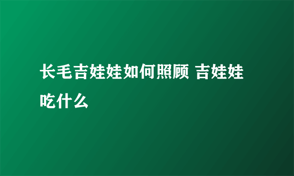 长毛吉娃娃如何照顾 吉娃娃吃什么