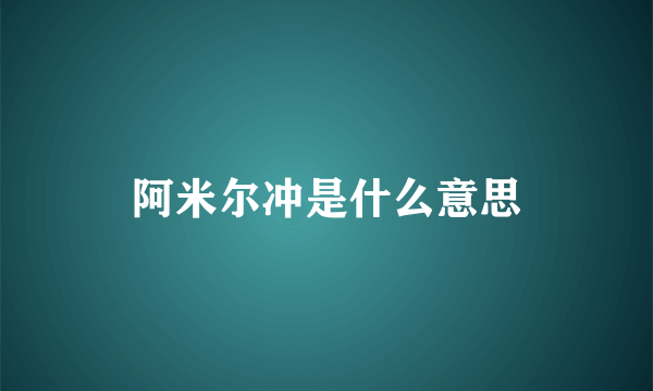 阿米尔冲是什么意思