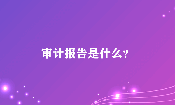 审计报告是什么？