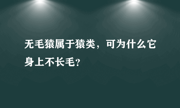 无毛猿属于猿类，可为什么它身上不长毛？