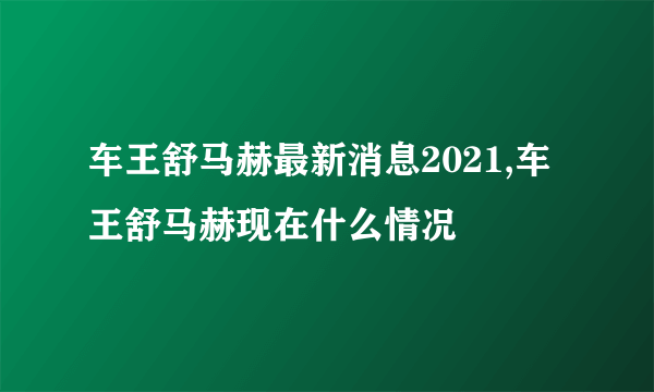 车王舒马赫最新消息2021,车王舒马赫现在什么情况