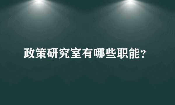 政策研究室有哪些职能？