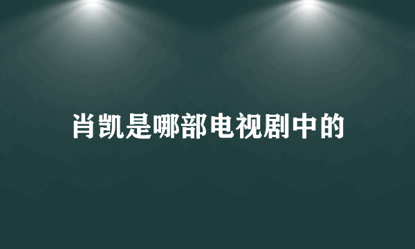 肖凯是哪部电视剧中的