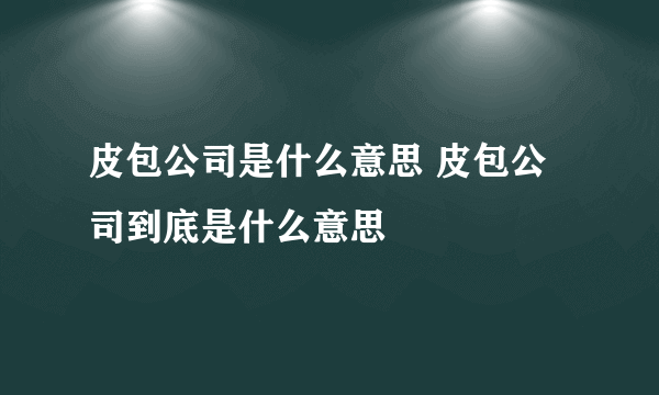 皮包公司是什么意思 皮包公司到底是什么意思