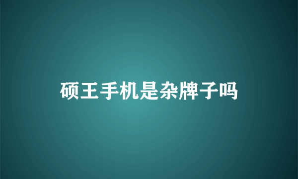 硕王手机是杂牌子吗