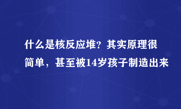 什么是核反应堆？其实原理很简单，甚至被14岁孩子制造出来