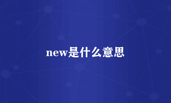 new是什么意思