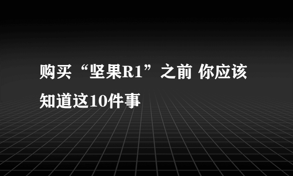 购买“坚果R1”之前 你应该知道这10件事