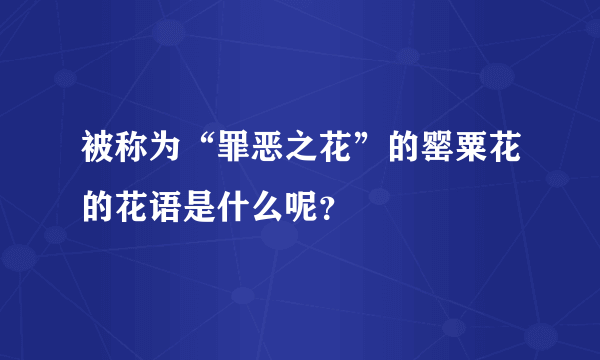 被称为“罪恶之花”的罂粟花的花语是什么呢？