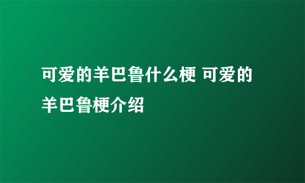 可爱的羊巴鲁什么梗 可爱的羊巴鲁梗介绍