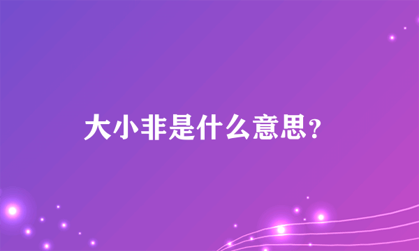 大小非是什么意思？