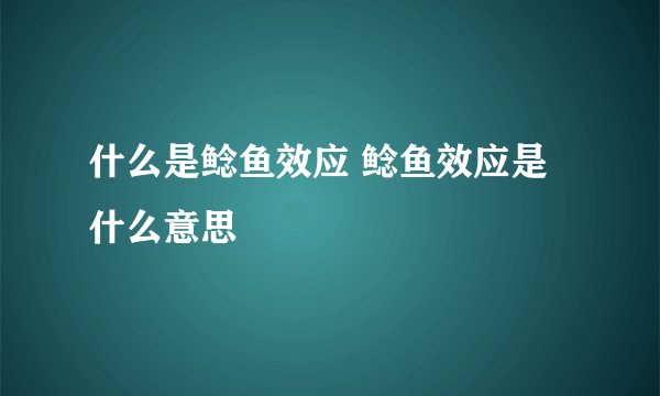 什么是鲶鱼效应 鲶鱼效应是什么意思