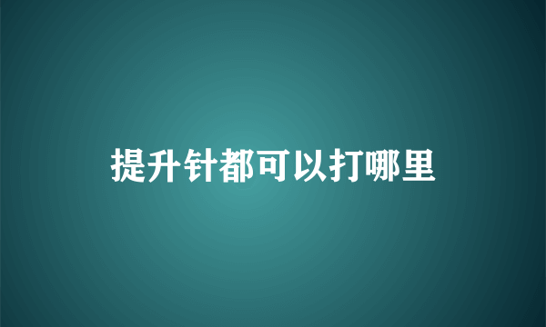 提升针都可以打哪里