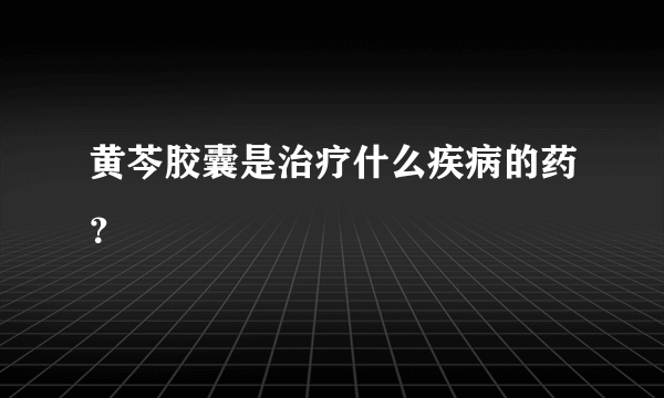 黄芩胶囊是治疗什么疾病的药？