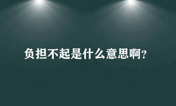 负担不起是什么意思啊？