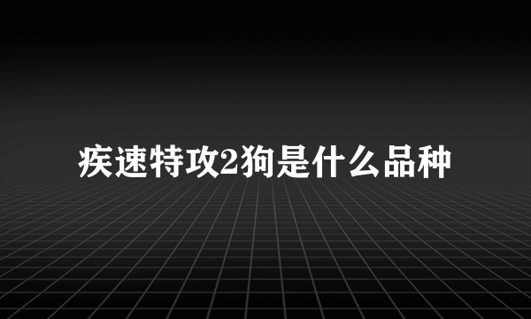 疾速特攻2狗是什么品种