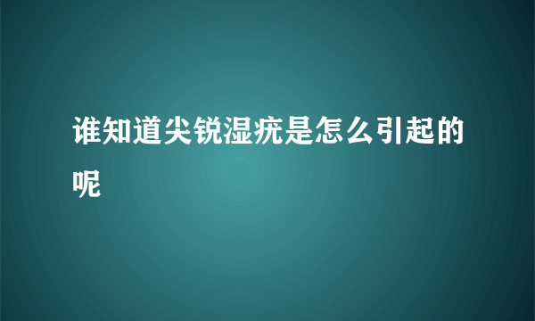 谁知道尖锐湿疣是怎么引起的呢