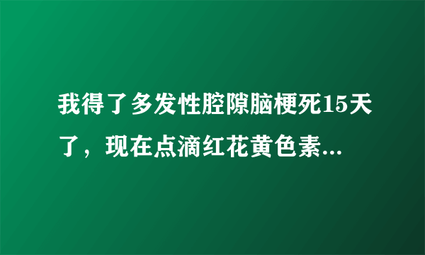 我得了多发性腔隙脑梗死15天了，现在点滴红花黄色素，...