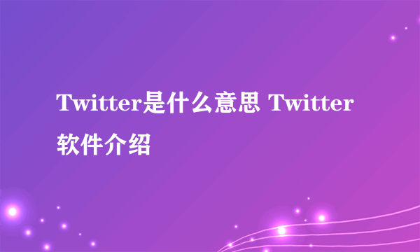 Twitter是什么意思 Twitter软件介绍