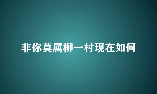 非你莫属柳一村现在如何