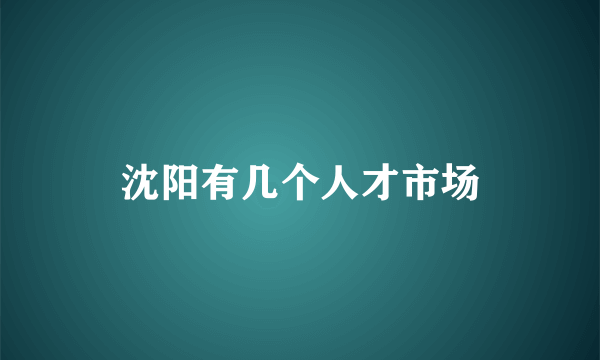 沈阳有几个人才市场