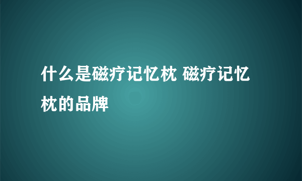 什么是磁疗记忆枕 磁疗记忆枕的品牌