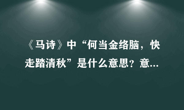 《马诗》中“何当金络脑，快走踏清秋”是什么意思？意思要完整！急求！