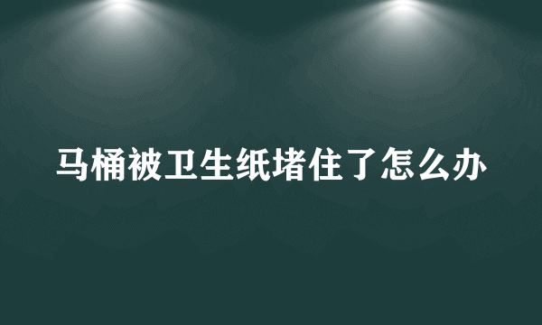 马桶被卫生纸堵住了怎么办