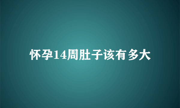 怀孕14周肚子该有多大