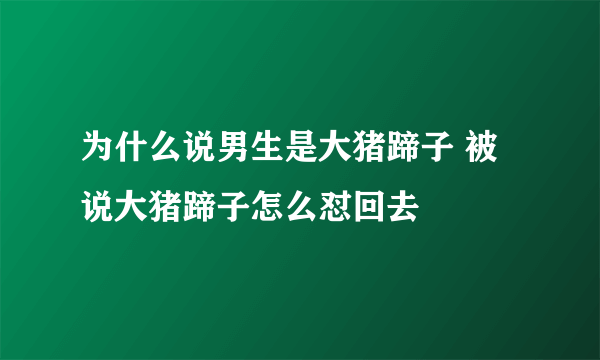 为什么说男生是大猪蹄子 被说大猪蹄子怎么怼回去