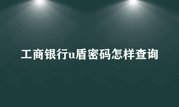 工商银行u盾密码怎样查询