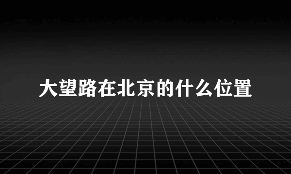 大望路在北京的什么位置